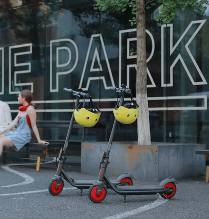 Trottinette Électrique Enfant Ninebot Zing C20 - Durable et Confortable