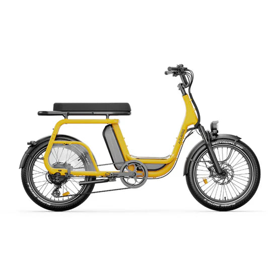 Vélo cargo électrique Elwing Ritmic Duo